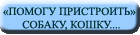 Помогу пристроить собаку, кошку...